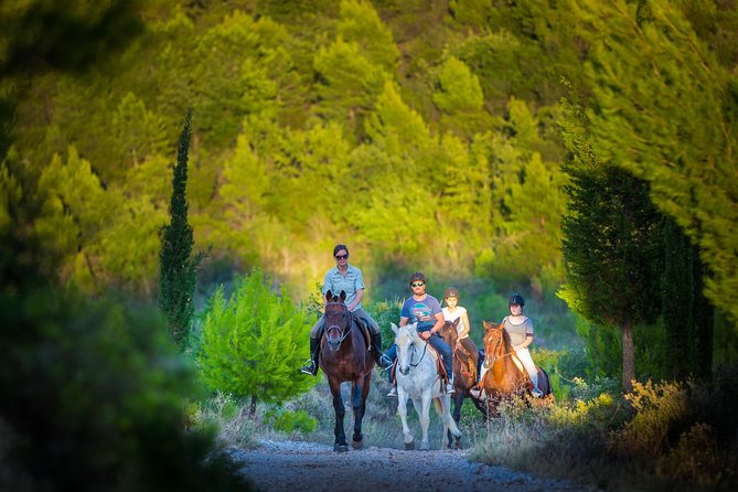 Horseback Riding in Konavle Region with Transport from Dubrovnik - Getting matched with a horse and fitted with a helmet