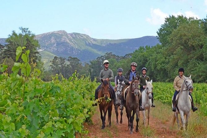 Horseback Riding In Lisbon - Arrábida - Louro Trail Mountain 5 - 6 Hours - Five hours across Louro Mountain