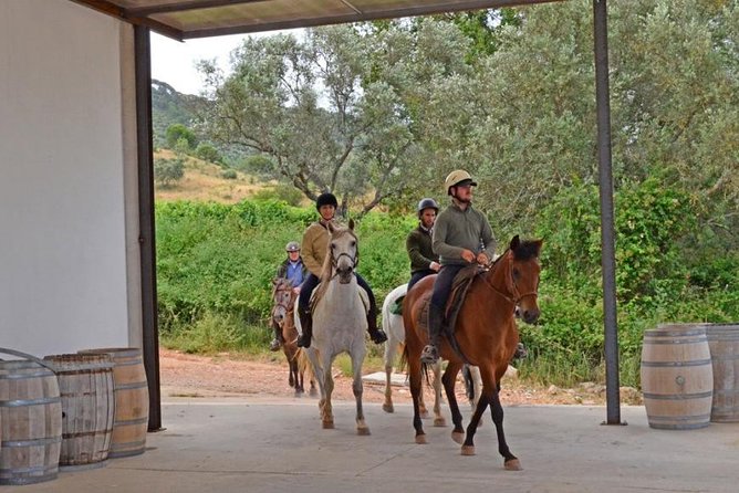 Horseback Riding In Lisbon - Arrábida - Louro Trail Mountain 5 - 6 Hours - Lunch at Quinta de Alcube