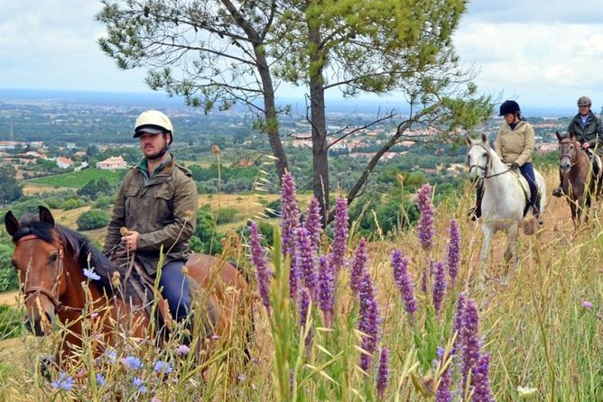 Horseback Riding In Lisbon - Arrábida - Louro Trail Mountain 5 - 6 Hours - Timing, group size, and the practical details