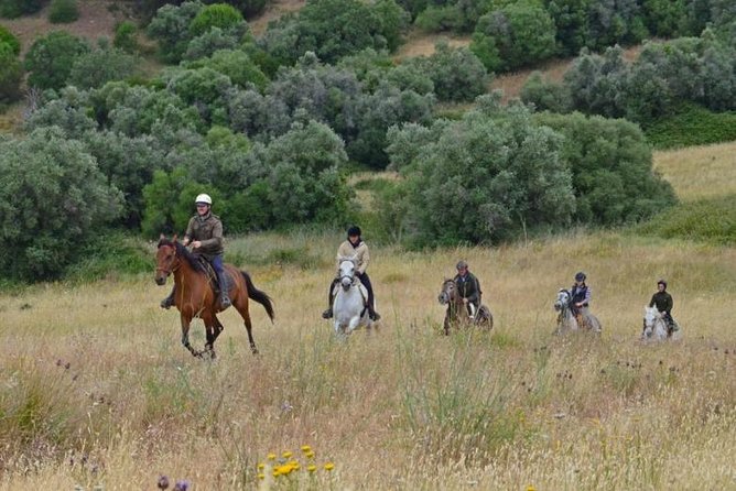 Horseback Riding In Lisbon - Arrábida - Louro Trail Mountain 5 - 6 Hours - Who should book this ride?