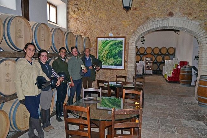 Horseback Riding In Lisbon - Arrábida - Louro Trail Mountain 5 - 6 Hours - The horses and the level of riding