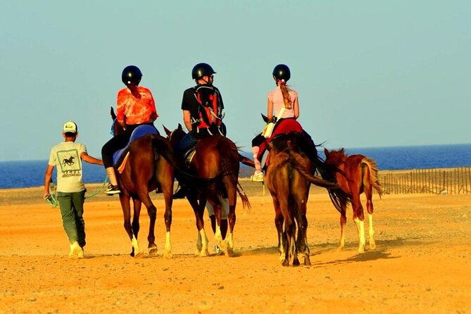 Horseback riding in Marsa Alam and Port Ghalib - Riding across the desert near Marsa Alam