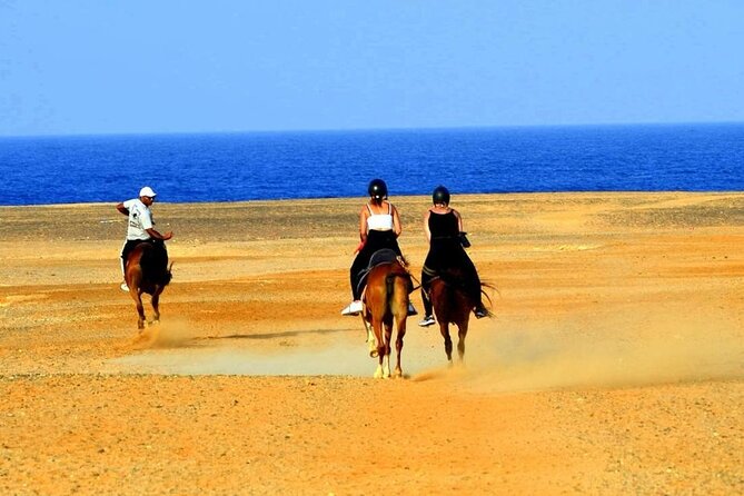 Horseback riding in Marsa Alam and Port Ghalib - Finishing in the Red Sea with the horses