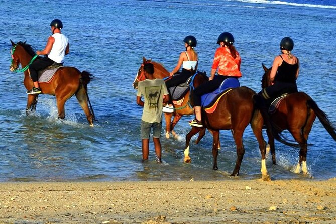 Horseback riding in Marsa Alam and Port Ghalib - Tea, coffee, and time for photographs