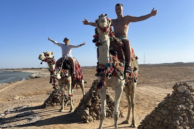 Horseback riding in Marsa Alam and Port Ghalib - What the $58.61 price really covers