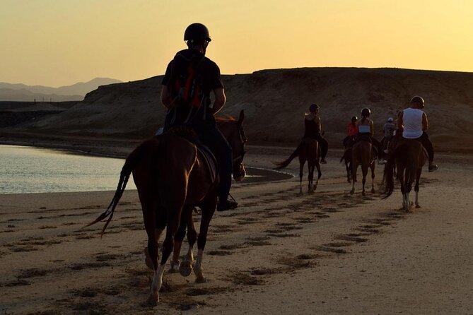 Horseback riding in Marsa Alam and Port Ghalib - Choosing morning or late afternoon