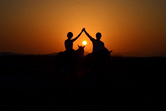Horseback riding in Marsa Alam and Port Ghalib - Coaching and a ride adjusted to your ability