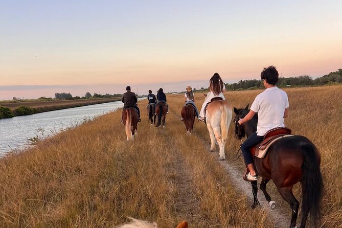Horseback Riding in Miami - Arriving at Horse Life Miami Equestrian Center