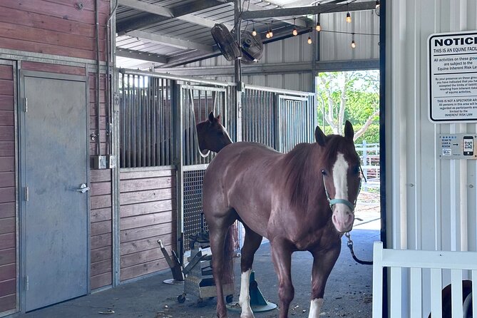 Horseback Riding in Miami - Marsh grass, water, and the photo opportunity