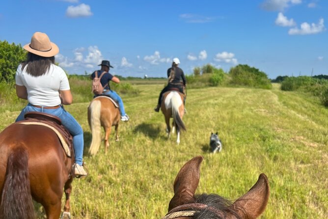 Horseback Riding in Miami - Is $140 a fair price for one hour?