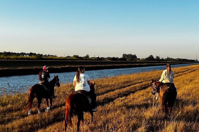 Horseback Riding in Miami - Meeting the horses and learning the basic commands