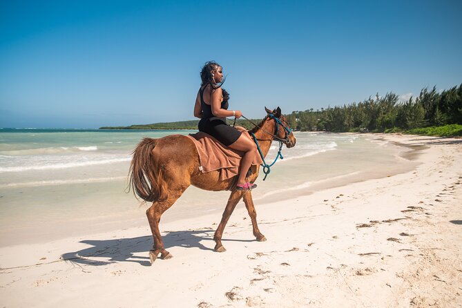 Horseback Riding in Montego Bay - Timing, pace, and physical effort