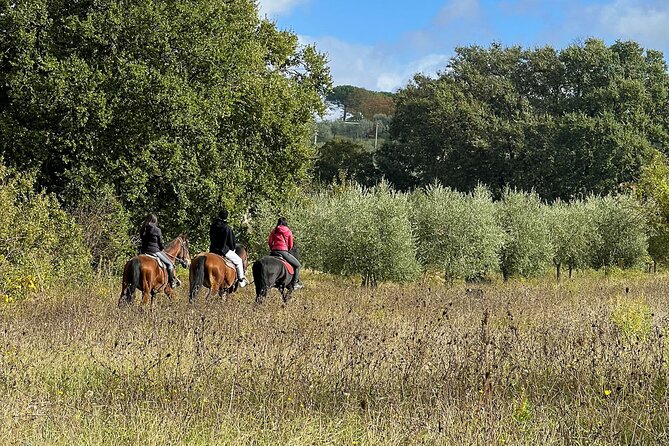 Horseback riding in Montepulciano Tuscany, lunch on the farm - Riding through Montepulciano vineyards and olive groves