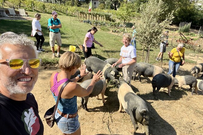 Horseback riding in Montepulciano Tuscany, lunch on the farm - Meeting the Cinta Senese pigs