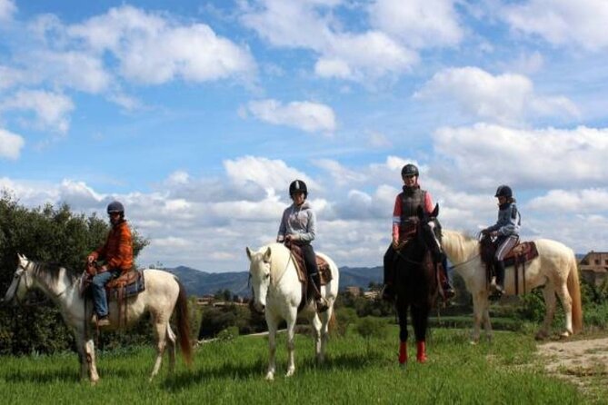 Horseback Riding in Montserrat Mountain Natural Park, Barcelona - 1 to 2 hrs - Quick reasons to consider the ride