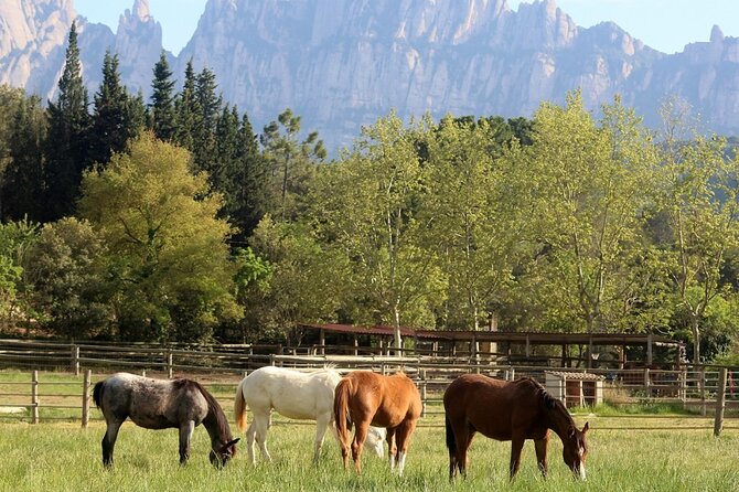 Horseback Riding in Montserrat Mountain Natural Park, Barcelona - 1 to 2 hrs - What the small group changes