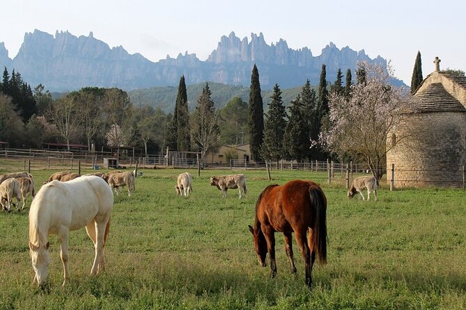 Horseback Riding in Montserrat Mountain Natural Park, Barcelona - 1 to 2 hrs - Horses, ponies, and family suitability