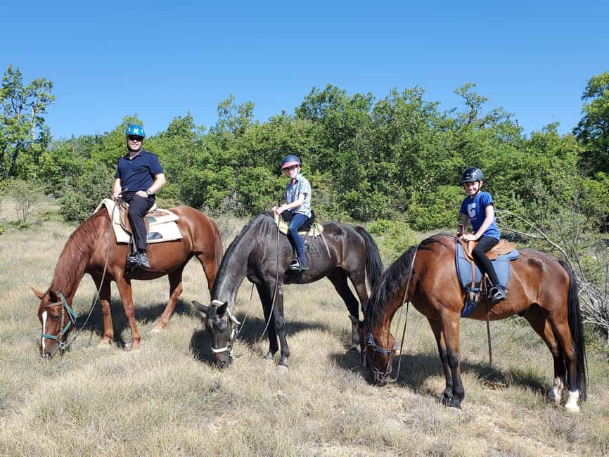 Horseback riding in Provence Luberon - Key points at a glance