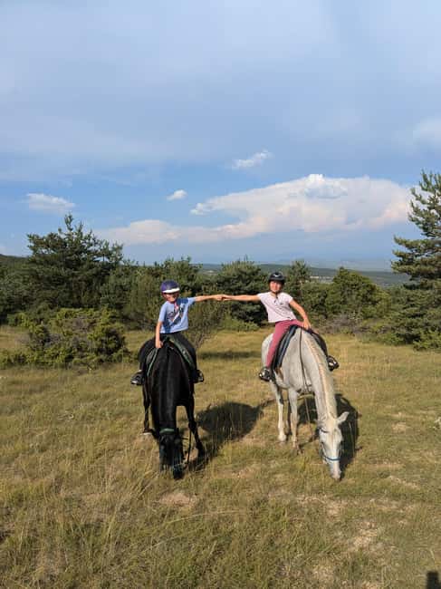 Horseback riding in Provence Luberon - The horse snack stop is part of the experience
