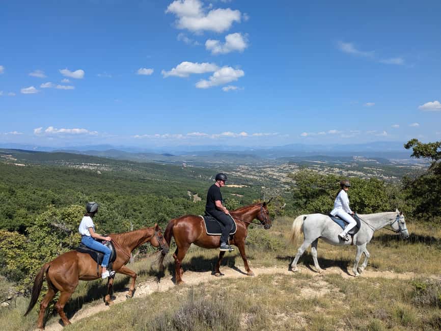 Horseback riding in Provence Luberon - Returning to the center and caring for the horses