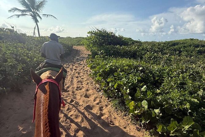 Horseback riding in punta cana beach and Bayahibe - Is $45 a fair price?