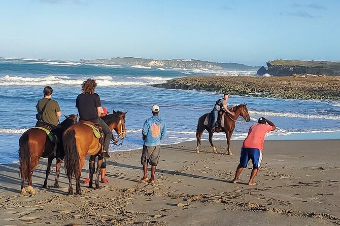Horseback riding in punta cana beach and Bayahibe - Pickup, meeting points, and avoiding confusion