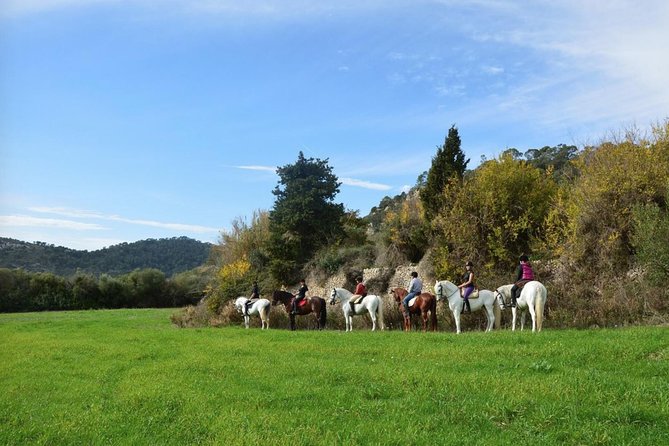 Horseback Riding in Randa Valleys, Mallorca, Spain - Why Randa Is a Good Place to Ride