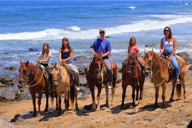 Horseback Riding in Sayulita - Families, beginners, and confident riders