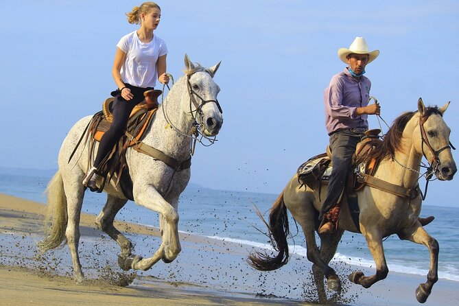 Horseback Riding in Sayulita Through Jungle Trails to the Beach - How the guides handle beginners and experienced riders