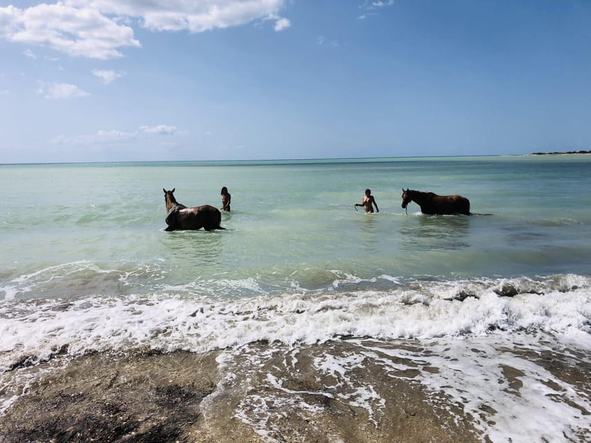 Horseback riding in the beaches of Sciacca - The beach swim is the real prize