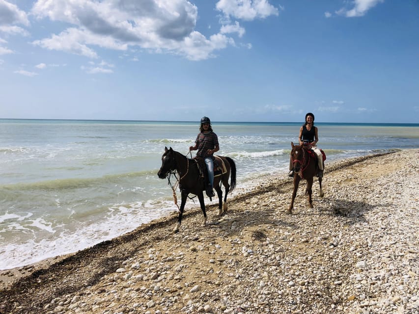 Horseback riding in the beaches of Sciacca - How much value do you get for $198.25?