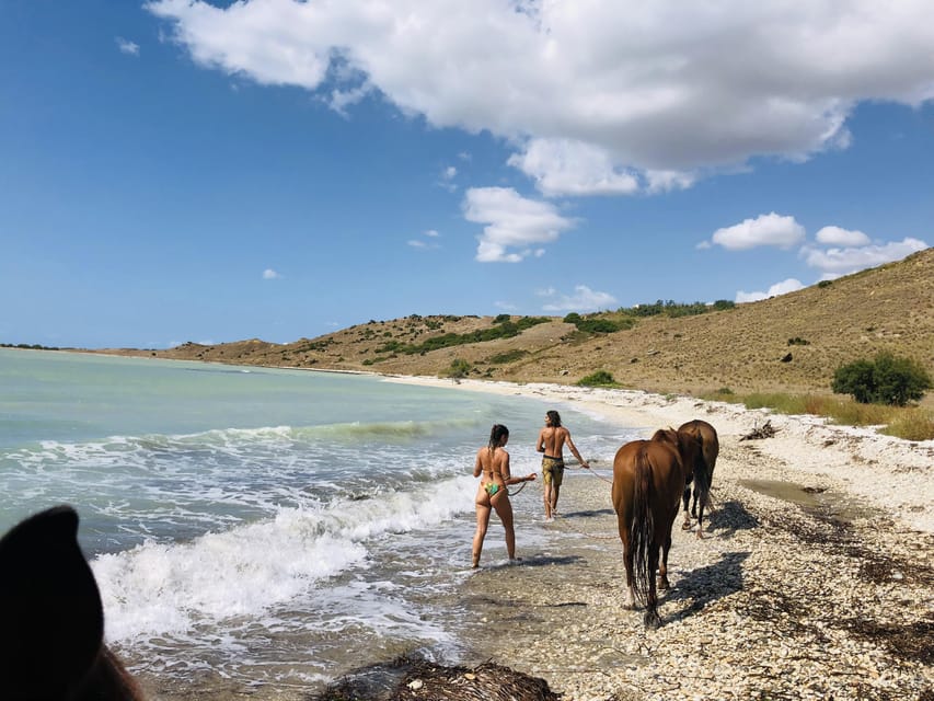 Horseback riding in the beaches of Sciacca - What happens during the four-hour ride