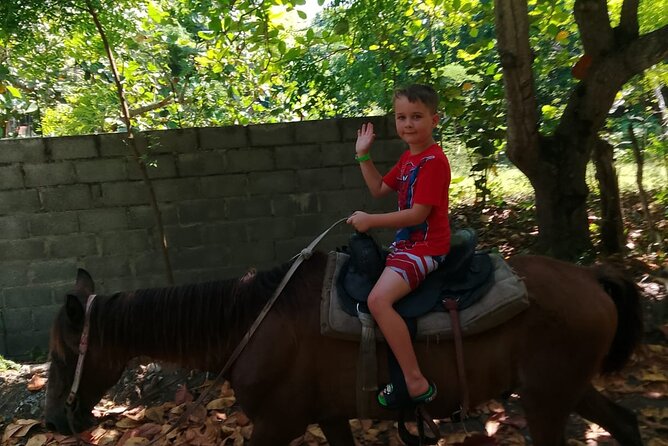 Horseback Riding in the Dominican Countryside from Puerto Plata - Meeting the horse and getting the safety briefing
