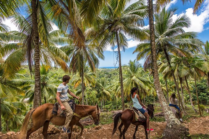 Horseback Riding in the Dominican Jungle - Start by solving the horseback-versus-Saona problem