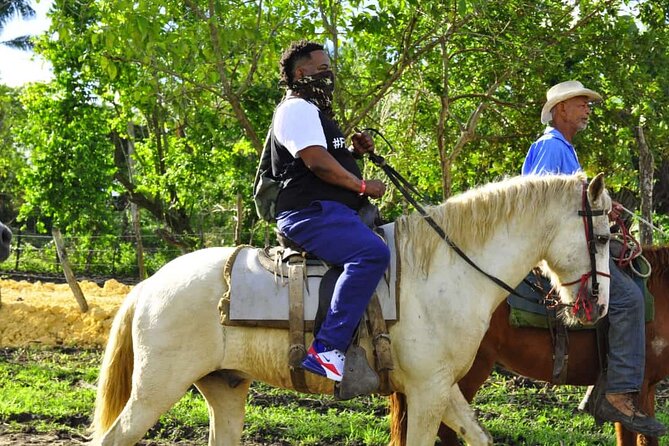 Horseback Riding in the Dominican Jungle - The Altos de Chavon and Saona Island version