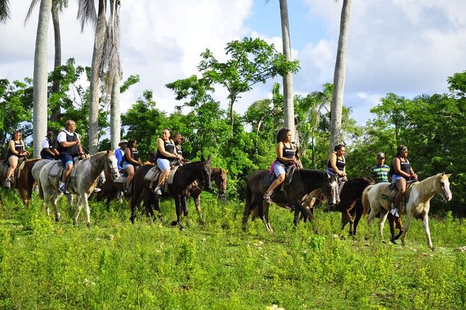 Horseback Riding in the Dominican Jungle - Who should book this experience