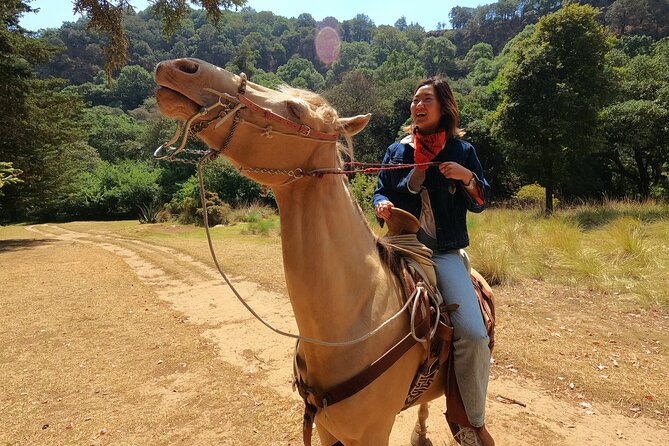 Horseback Riding in the Forest and Breakfast in Cabin - Key points to know before you book