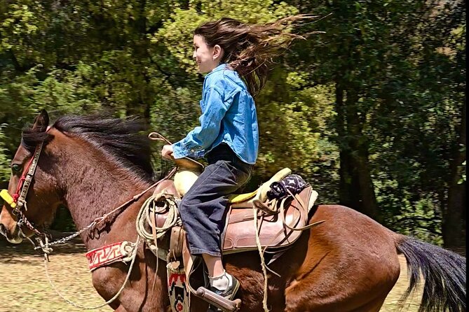 Horseback Riding in the Forest and Breakfast in Cabin - Is $161.20 a fair price?