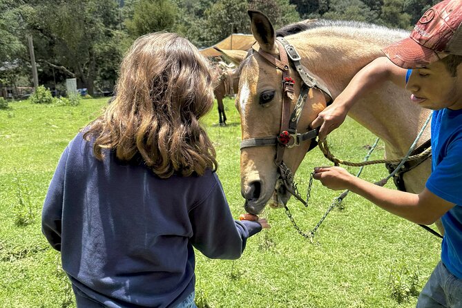 Horseback Riding in the Forest and Breakfast in Cabin - Who will enjoy this ride most?