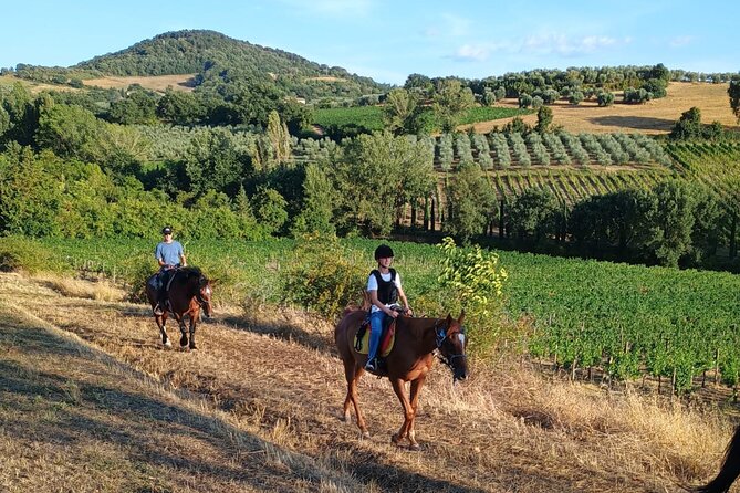 Horseback riding in the hills of Montepulciano in Tuscany - Key points at a glance