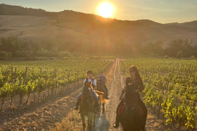Horseback riding in the hills of Montepulciano in Tuscany - What happens at the farm before the ride