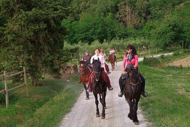Horseback riding in the hills of Montepulciano in Tuscany - Why the farm animals add value