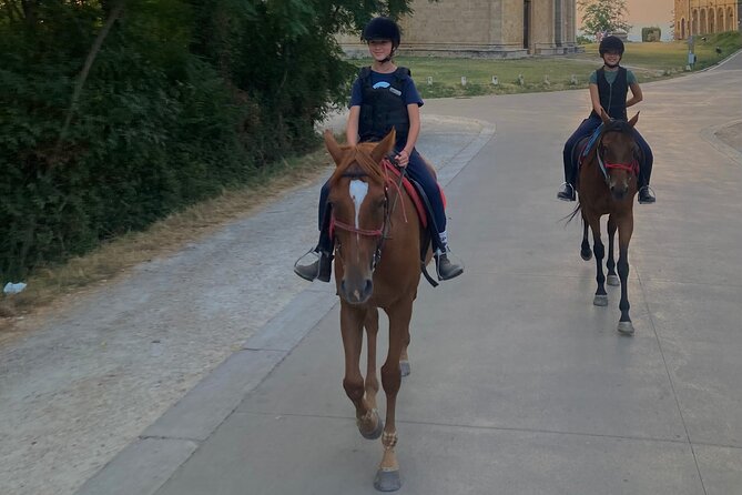 Horseback riding in the hills of Montepulciano in Tuscany - Price and value at $95.31 per person