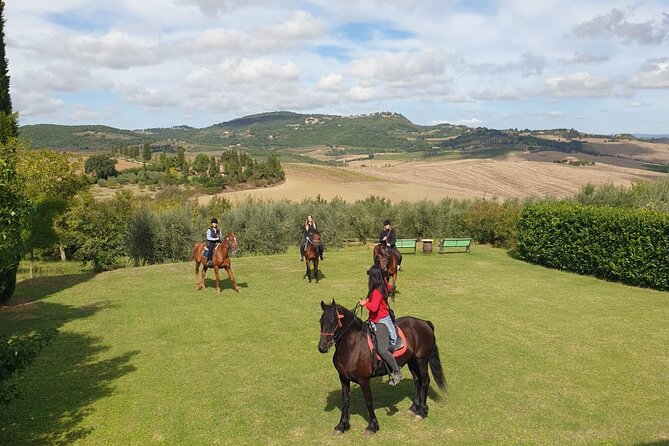 Horseback riding in the hills of Montepulciano in Tuscany - A calm start for first-time riders