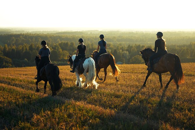 Horseback Riding in the Landscape - Key points at a glance