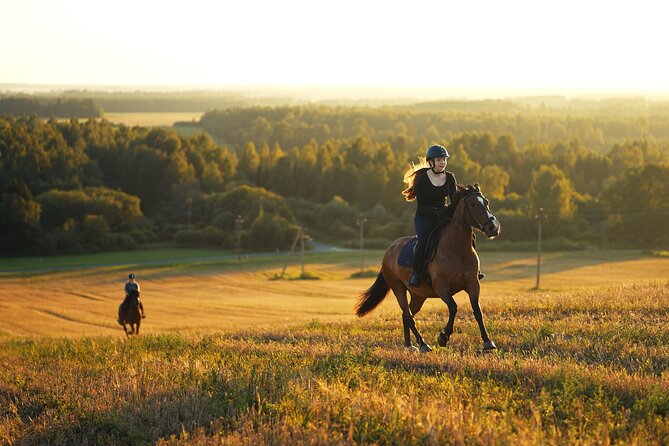 Horseback Riding in the Landscape - Brushing and saddling your horse