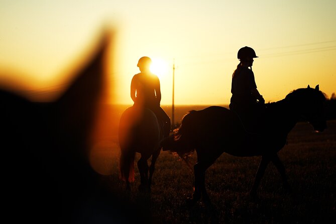 Horseback Riding in the Landscape - Why the horse preparation adds real value