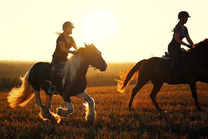 Horseback Riding in the Landscape - Coffee, snacks, and time after the ride