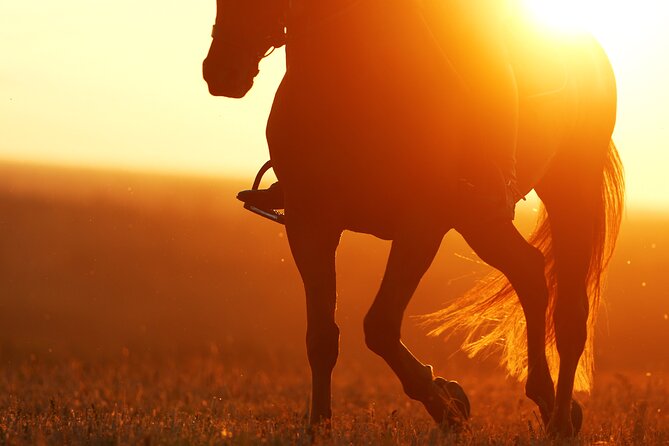 Horseback Riding in the Landscape - Who will enjoy this ride most